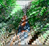 Yarra Valley Local Produce and Wine Tasting Tour - Accommodation in Bendigo