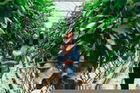 Yarra Valley Local Produce and Wine Tasting Tour, Marysville