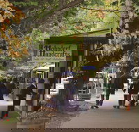 Adelaide Highlights Hahndorf  McLaren Vale Wine Tasting and Sightseeing Tour - Accommodation in Bendigo