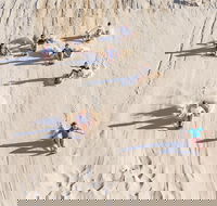 Unlimited Sandboarding - Accommodation in Bendigo