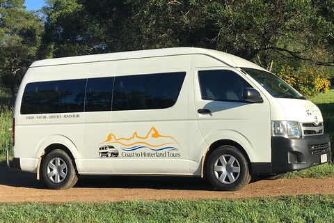 Noosa Everglades Serenity Cruise & Highlights Tour Inc. Lunch & Cruise - Accommodation in Bendigo 5