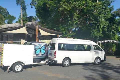 Airport Transfer To Or From Cairns Hotels For Up To 13 People - Accommodation in Bendigo 4