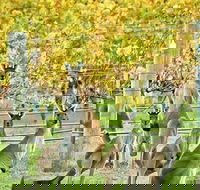 Margaret River Indulge and Discover Day Tour - Accommodation in Bendigo