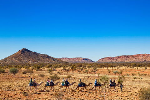 Alice Springs Camel Tour - Accommodation in Bendigo 0