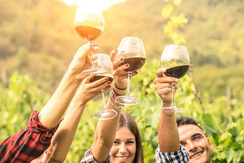 Adelaide Hills Day Tour. Winery Cellar Doors - Accommodation in Bendigo 0