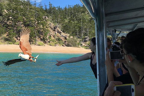 Aquascene Magnetic Island Discovery Tour - Accommodation in Bendigo 2