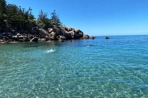 Aquascene Magnetic Island Discovery Tour - Accommodation in Bendigo 5