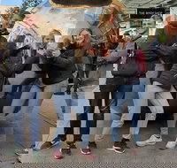 Guided Walking Tour in Adelaide - Accommodation in Bendigo