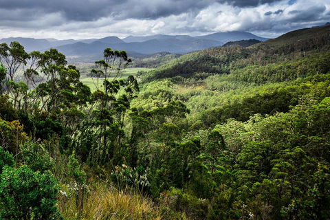 3-Day Tour To The Falls, Mountains, Lake & More Of West Coast Tasmania - Accommodation in Bendigo 0