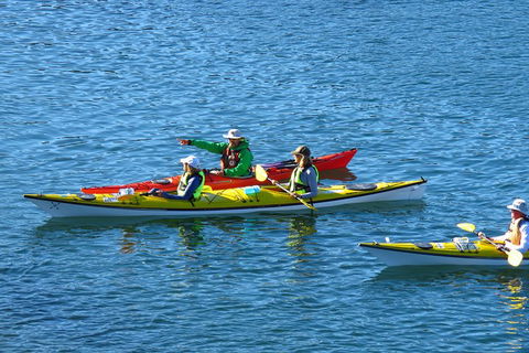 Half-Day Sydney Middle Harbour Guided Kayaking Eco Tour - Accommodation in Bendigo 0