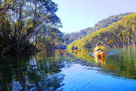 Half-Day Sydney Middle Harbour Guided Kayaking Eco Tour - Accommodation in Bendigo 1