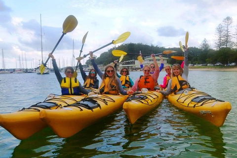 Half-Day Sydney Middle Harbour Guided Kayaking Eco Tour - Accommodation in Bendigo 2