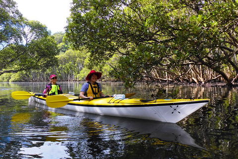 Half-Day Sydney Middle Harbour Guided Kayaking Eco Tour - Accommodation in Bendigo 3
