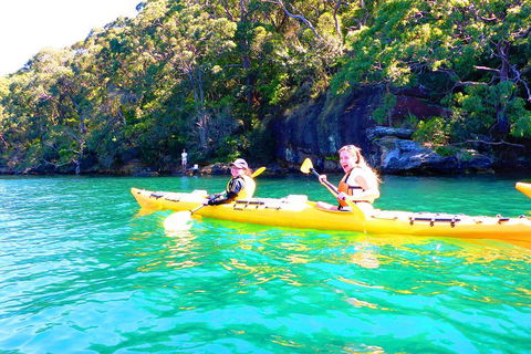 Half-Day Sydney Middle Harbour Guided Kayaking Eco Tour - Accommodation in Bendigo 4