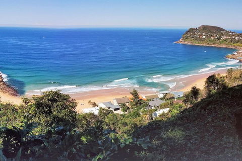 Manly & Sydney's Northern Beaches With 'Personalised Sydney Tours' - Accommodation in Bendigo 2