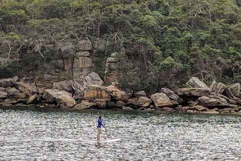 Manly & Sydney's Northern Beaches With 'Personalised Sydney Tours' - Accommodation in Bendigo 3