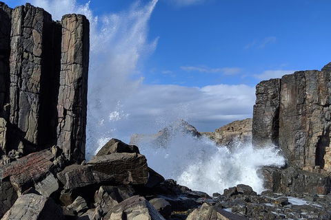 Erupting Blowholes And Ancient Rainforests With 'Personalised Sydney Tours' - Accommodation in Bendigo 0