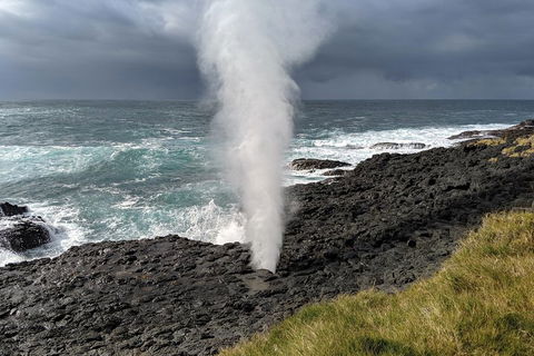 Erupting Blowholes And Ancient Rainforests With 'Personalised Sydney Tours' - Accommodation in Bendigo 1