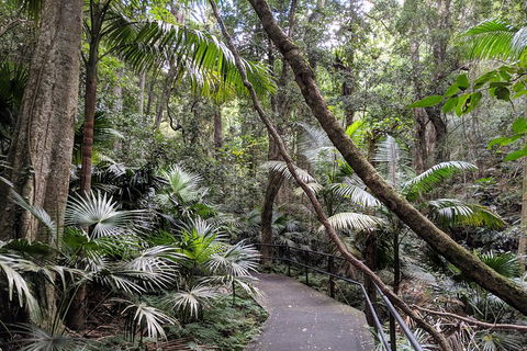 Erupting Blowholes And Ancient Rainforests With 'Personalised Sydney Tours' - Accommodation in Bendigo 2