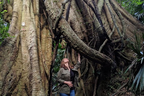 Erupting Blowholes And Ancient Rainforests With 'Personalised Sydney Tours' - Accommodation in Bendigo 4