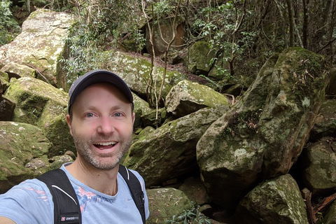 Australian Wildlife & Waterfalls Private Tour With 'Personalised Sydney Tours' - Accommodation in Bendigo 4