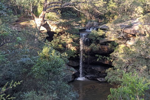 Australian Wildlife & Waterfalls Private Tour With 'Personalised Sydney Tours' - Accommodation in Bendigo 5