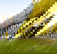 2-Day Private Daylesford  Macedon Ranges Gourmet Food Trail Tour from Melbourne - Accommodation in Bendigo