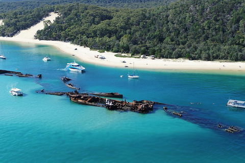 All Inclusive Dolphin And Tangalooma Wrecks Cruise - Accommodation in Bendigo 4