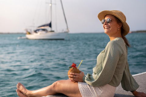 All Inclusive Dolphin And Tangalooma Wrecks Cruise - Accommodation in Bendigo 5