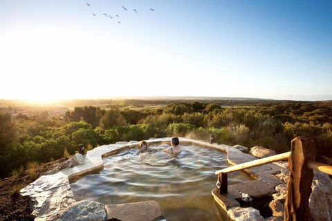 Peninsula Hot Springs & Wine Tasting - Day Tour - Accommodation in Bendigo 0