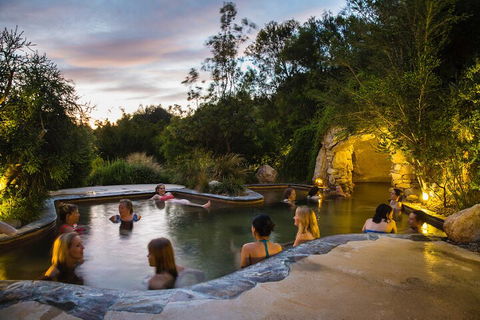 Peninsula Hot Springs & Wine Tasting - Day Tour - Accommodation in Bendigo 3