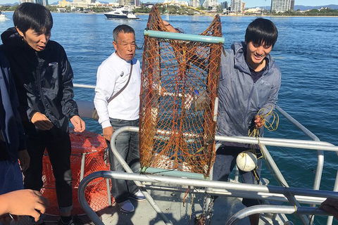 Crab Trip From Gold Coast - Accommodation in Bendigo 1