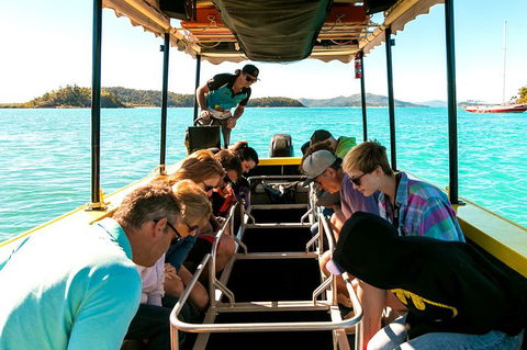 Airlie Beach Glass Bottom Boat Tour - Accommodation in Bendigo 1