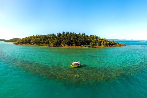 Airlie Beach Glass Bottom Boat Tour - Accommodation in Bendigo 3