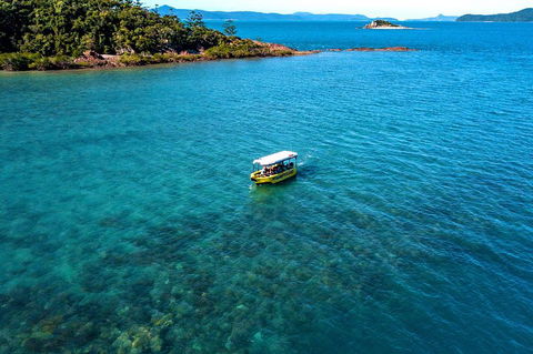 Airlie Beach Glass Bottom Boat Tour - Accommodation in Bendigo 4