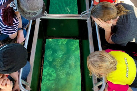 Airlie Beach Glass Bottom Boat Tour - Accommodation in Bendigo 5