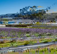 Private Hobart Discover South East Food and Scenic Tour - Accommodation in Bendigo