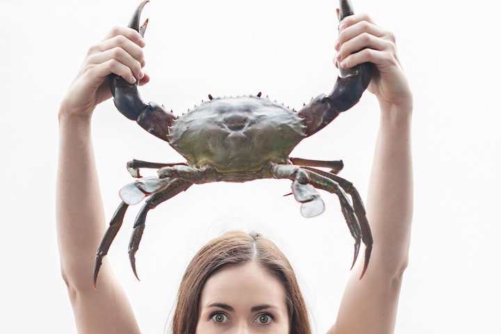 Benowa QLD Accommodation in Bendigo