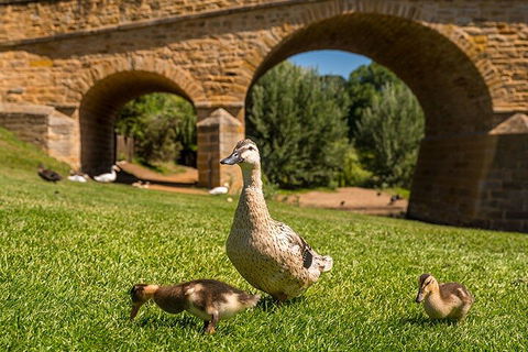 Richmond Historic Afternoon Tour From Hobart - Accommodation in Bendigo 1