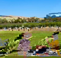 Private Picnic and Wine Tasting Experience in Barossa Valley - Accommodation in Bendigo