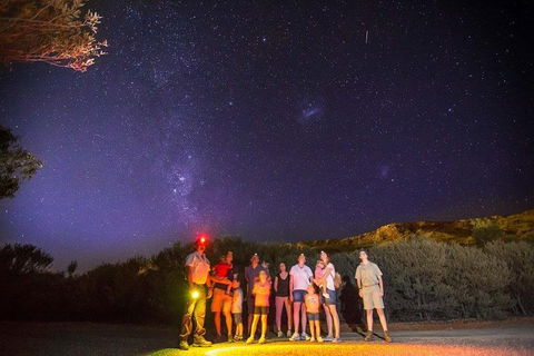 Alice Springs Desert Park Nocturnal Tour - Accommodation in Bendigo 2
