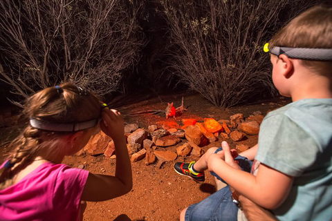 Alice Springs Desert Park Nocturnal Tour - Accommodation in Bendigo 4