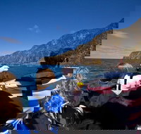 Seal Island Boat Tour from Victor Harbor - Accommodation in Bendigo