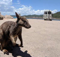 Magnetic Island Tour Maggie Comprehensive