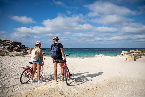 Experience Rottnest With Ferry & Bike Hire From Perth Or Fremantle - Accommodation in Bendigo 5