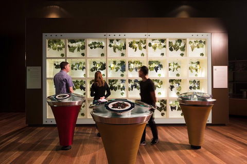Australian Wine Discovery Tour With Tastings - Accommodation in Bendigo 4