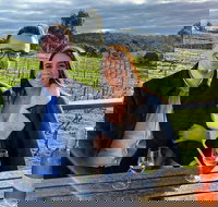 Daylesford Wine Tours wine cider gin vodka port food  sights tours - Accommodation in Bendigo