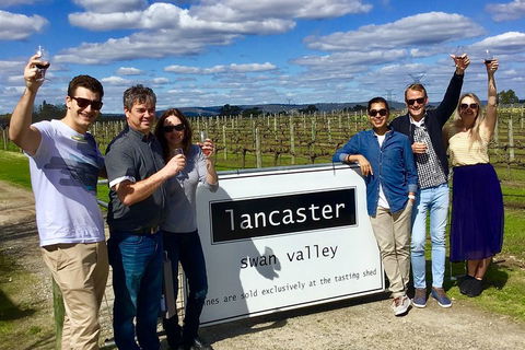 Swan Valley Tour From Perth: Wine, Beer And Chocolate Tastings - Accommodation in Bendigo 1