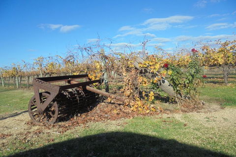Swan Valley Tour From Perth: Wine, Beer And Chocolate Tastings - Accommodation in Bendigo 3
