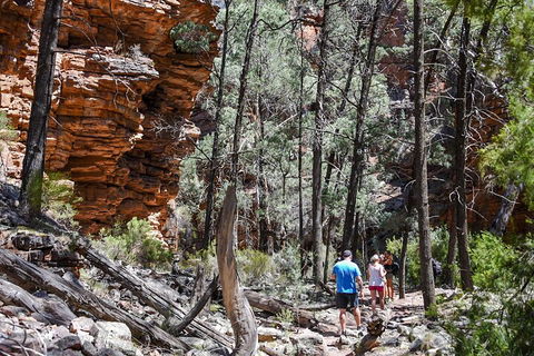6-Day Eyre Peninsula & Flinders Ranges Adventure Tour - Accommodation in Bendigo 5